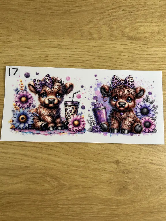 decal 17